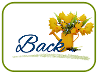 22SPSatHopBack